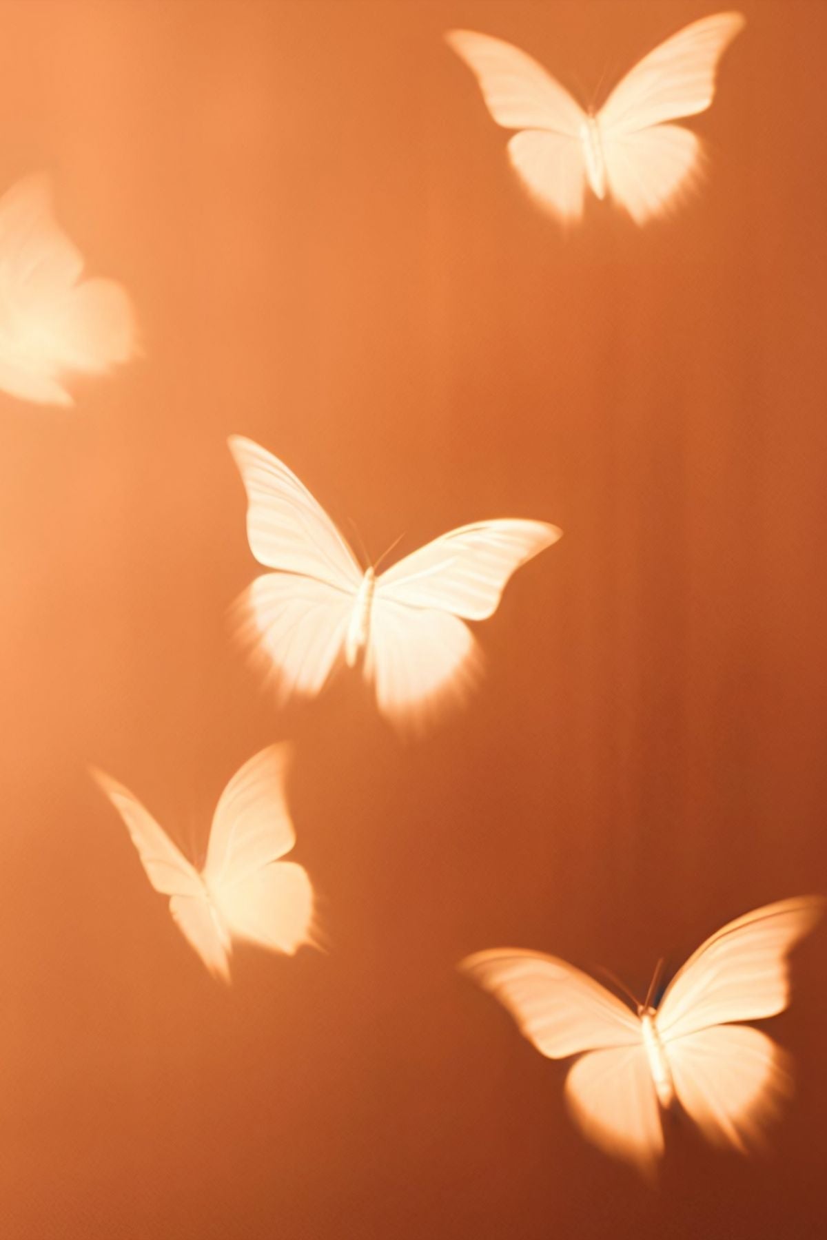 Vuelo de Mariposas